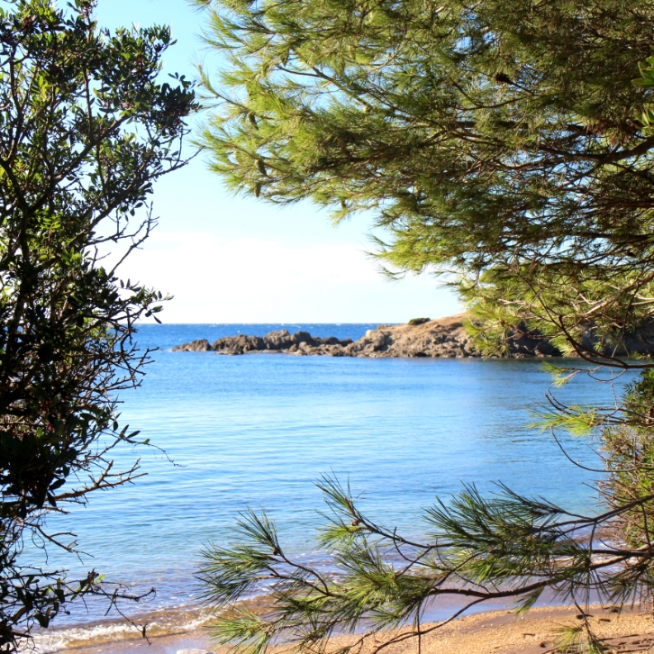 plage noire